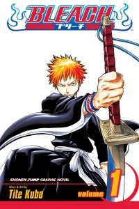Bleach_01c